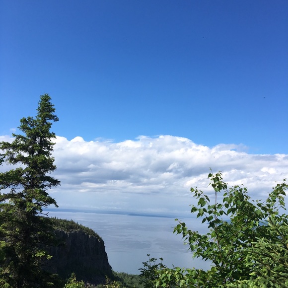 Meet your Posher, Kaylyn - Picture 1 of 1